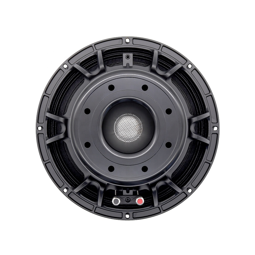 12DS Pro Audio Equipment 12''  - Speakers review and price